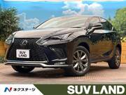 2020 LEXUS NX