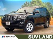 2019 TOYOTA LAND CRUISER PRADO TX