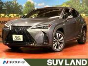 2019 LEXUS UX