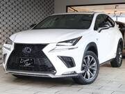 2018 LEXUS NX