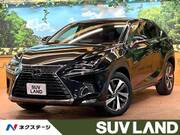2019 LEXUS NX