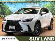 2022 LEXUS NX