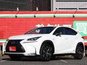 2016 LEXUS NX