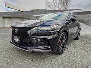 2024 LEXUS RX