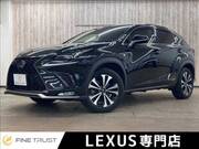 2018 LEXUS NX