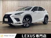 2018 LEXUS NX