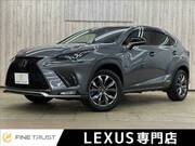 2018 LEXUS NX