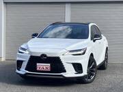 2024 LEXUS RX
