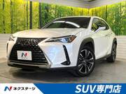 2020 LEXUS UX