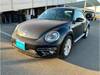 VOLKSWAGEN THE BEETLE
