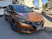 2019 NISSAN LEAF