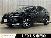 2015 LEXUS NX