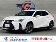 2019 LEXUS UX