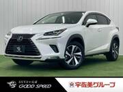 2019 LEXUS NX