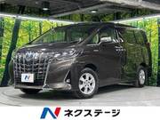 2019 TOYOTA ALPHARD HYBRID