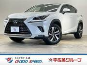 2018 LEXUS NX
