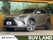 2018 LEXUS NX