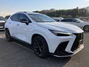 2022 LEXUS NX