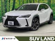 2020 LEXUS UX