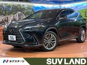 2023 LEXUS NX