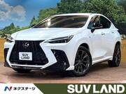 2021 LEXUS NX