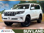2019 TOYOTA LAND CRUISER PRADO TX