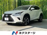 2019 LEXUS NX
