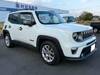 CHRYSLER JEEP RENEGADE