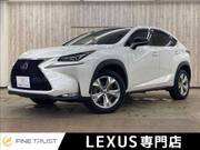 2014 LEXUS NX