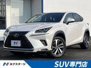 2018 LEXUS NX