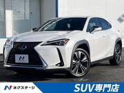 2019 LEXUS UX