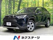 2019 TOYOTA RAV4 G