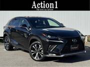 2020 LEXUS NX