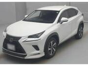 2019 LEXUS NX