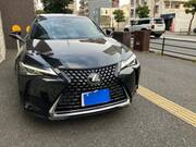 2019 LEXUS UX