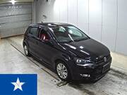 2014 OTHER POLO