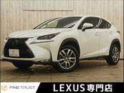 2014 LEXUS NX