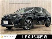 2019 LEXUS UX