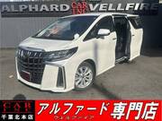 2019 TOYOTA ALPHARD 2.5S