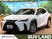 2019 LEXUS UX