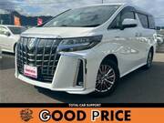 2019 TOYOTA ALPHARD G