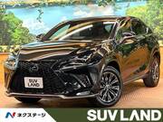 2021 LEXUS NX