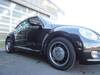 VOLKSWAGEN THE BEETLE