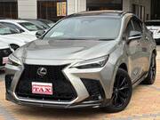 2021 LEXUS NX