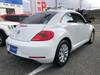 VOLKSWAGEN THE BEETLE
