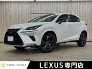 2020 LEXUS NX