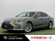 2019 LEXUS ES