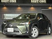 2019 LEXUS UX