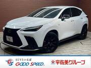2022 LEXUS NX