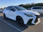 2023 LEXUS NX